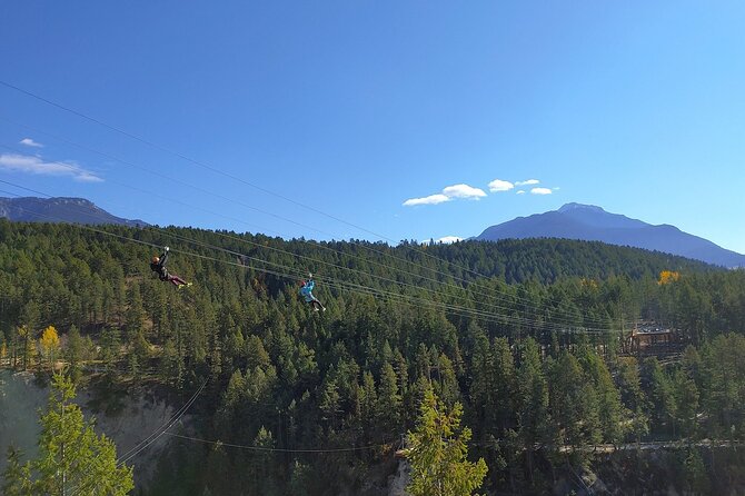 Grizzly Bear, Mountain Tops & Falls From Calgary Canmore & Banff - Frequently Asked Questions