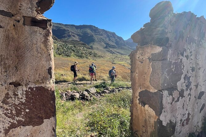 Group Walks in Mogán - Review and Rating Highlights