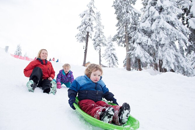 Grouse Mountain Admission Ticket - Planning Your Visit