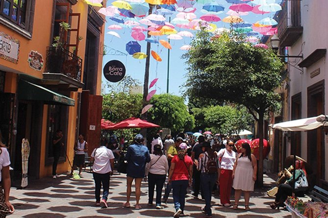 Guadalajara and Tlaquepaque City Sightseeing Tour - Tour Pricing