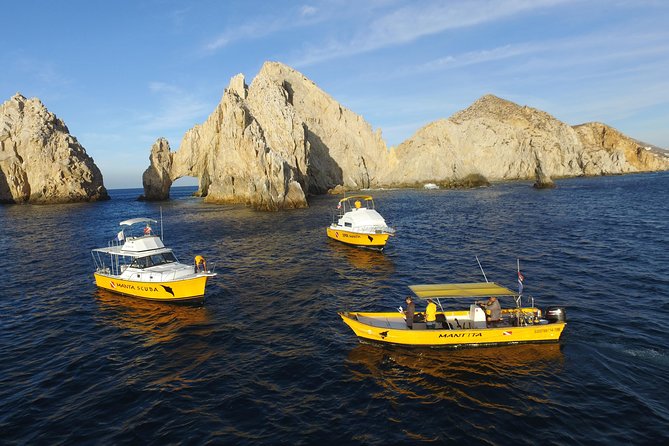 Guided by Divemaster, Cabo San Lucas Short Snorkeling Tour MANTA - Customer Feedback