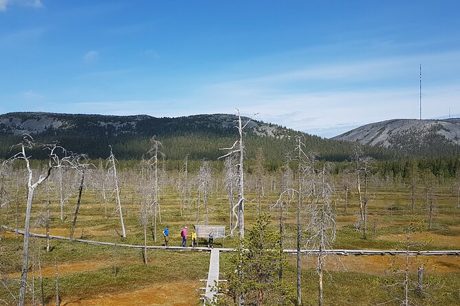 Guided Easy Hike in Finland Deepest Gorge in Pyhä-Luosto National Park - Comparing the Tour Offerings