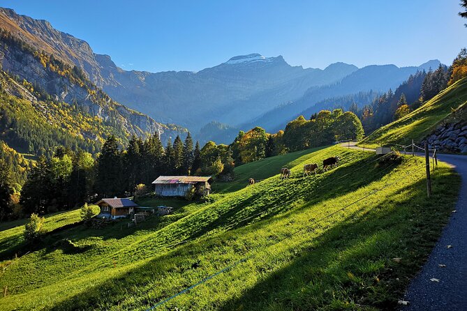 Guided Excursion to Jungfraujoch, Grindelwald and Lauterbrunnen From Lucerne - Inclusion of Planned Stops