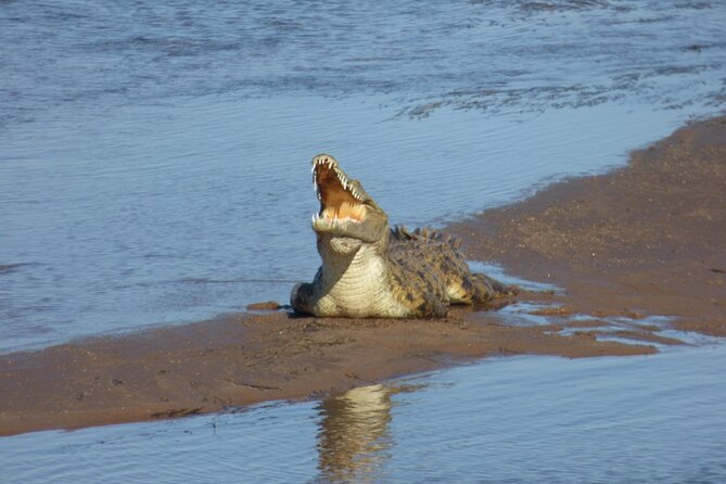 Guided Falls Tour & Zambezi River Cruise Combo - Frequently Asked Questions