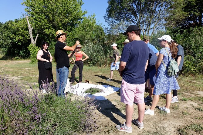 Guided Tour of Lavender Distillery Between Provence & Camargue - Frequently Asked Questions