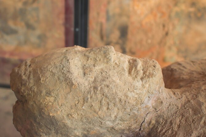 Guided Tour to Pompeii and Vesuvius From Sorrento - The Sum Up