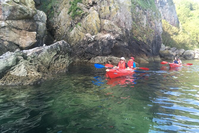 Guided Wildlife and Sea Cave Kayak Safari in English Riviera - Cancellation Policy