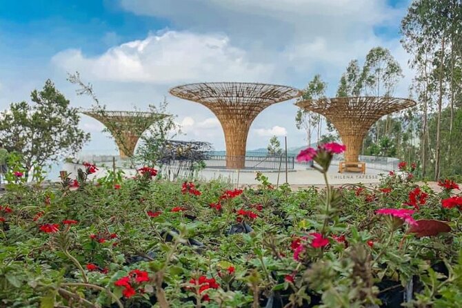 Half Day Addis Ababa City Tour - Addressing Challenges and Improving Tours