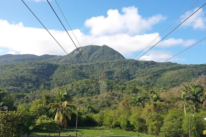Half-Day Cultural Tour City of Puerto Plata for Cruise Ships - Frequently Asked Questions