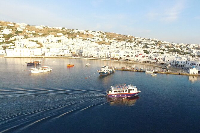 Half Day Delos Tour of Mykonos From the Cruise Ship Port - Booking Your Delos Tour
