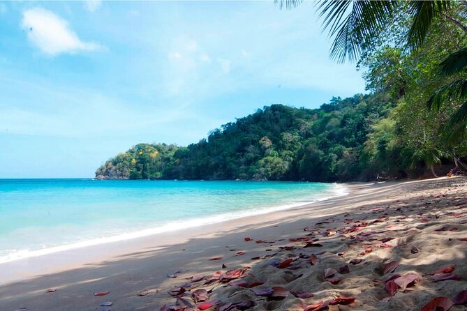 Half-Day Group Tour to Tobago Caribbean Coast - Frequently Asked Questions