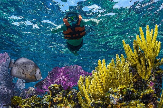 Half Day Guided Snorkeling Adventure in Puerto Morelos - Frequently Asked Questions