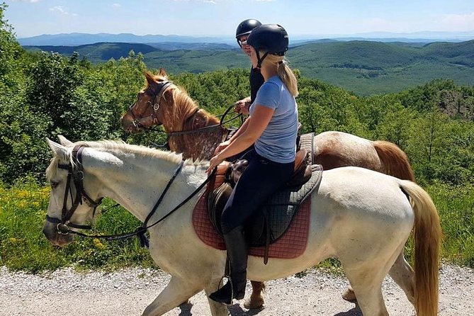 Half-Day Horseback Ride in Tuscany for Beginner Riders - Positive Reviews From Past Participants