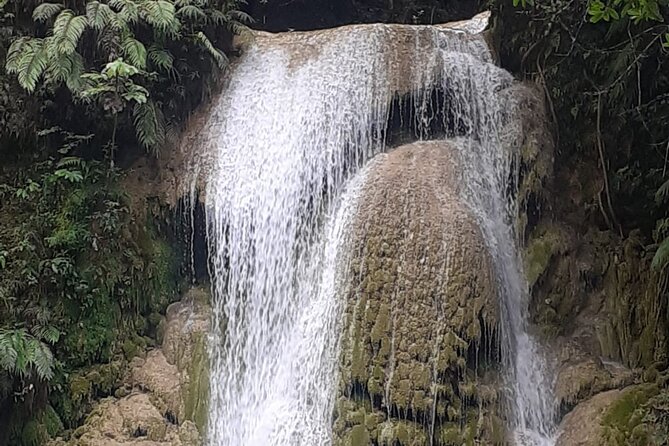 Half-Day Horseback Riding Tour in El Limón - Preparing for the Adventure
