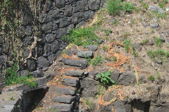 Half Day Jeep Wine Tour and Tasting, & Sea Cliff Adventure - Customer Reviews