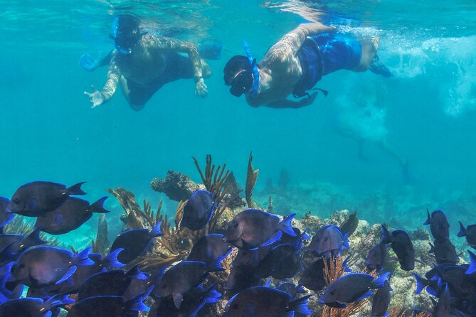 Half-Day Luxury Sailing Experience in Tulum With Open Bar - Booking and Cancellation Policy
