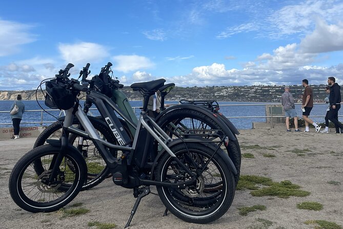 Half Day Performance Ebike Rental - Accessibility Features