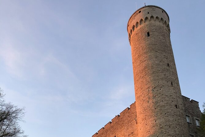 Half-Day Private Accessible City Tour in Tallinn - Contact Information