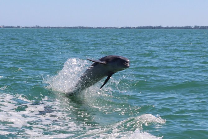 Half Day Private Boat Tour - Reviews and Recommendations