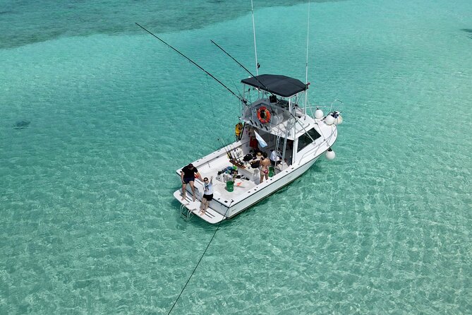 Half Day Private Fishing Charter in Cozumel - Species and Fishing