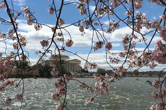Half-Day Private Guided Bike Tour in Washington - Sum Up