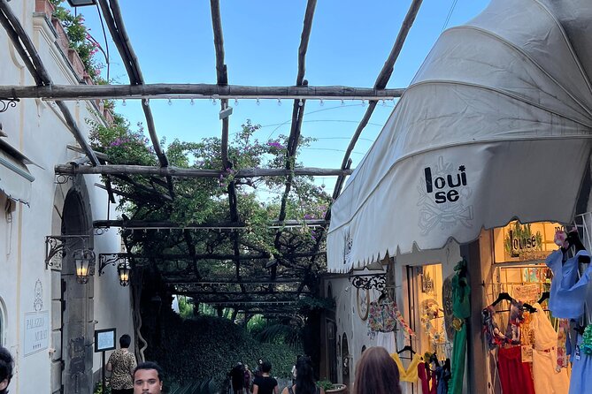Half Day Private Tour in Positano - Sum Up