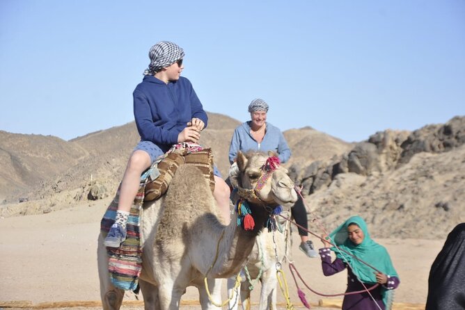 Half Day Quad Bike Adventure and Camel Ride in Beduion Camp - Frequently Asked Questions