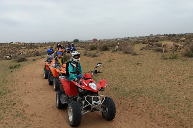 Half-Day QUAD in Agadir + Pick-Up Included From Agadir - Booking and Cancellation