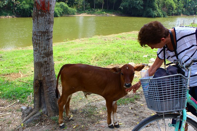 Half Day Ride Bike to the Farm and Cooking Activity With Foot Massage - Booking Process