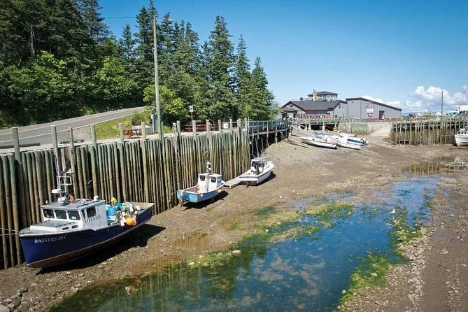 Half-Day Small-Group Tour of Annapolis Valley - Scenic Views and Natural Beauty