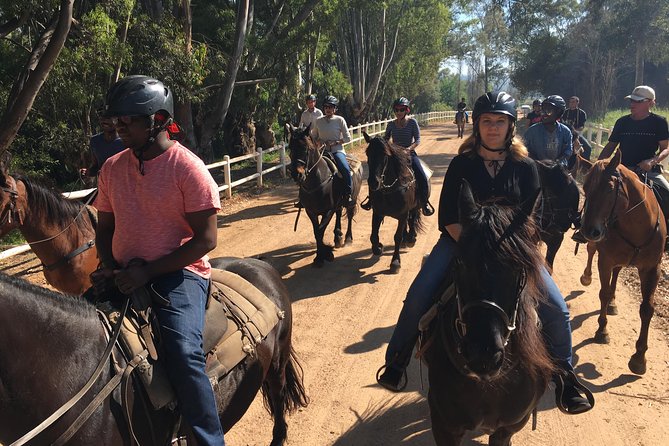 Half Day – Wine Tasting Horse Trail - Frequently Asked Questions
