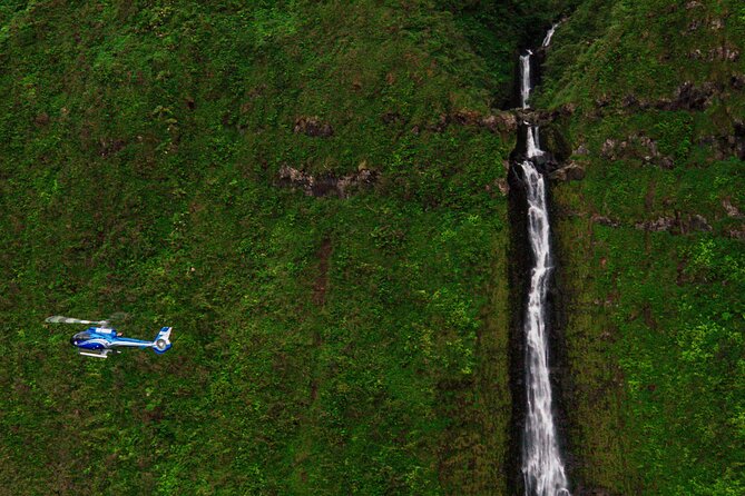 Hana Rainforest Scenic Helicopter Tour - Things To Known