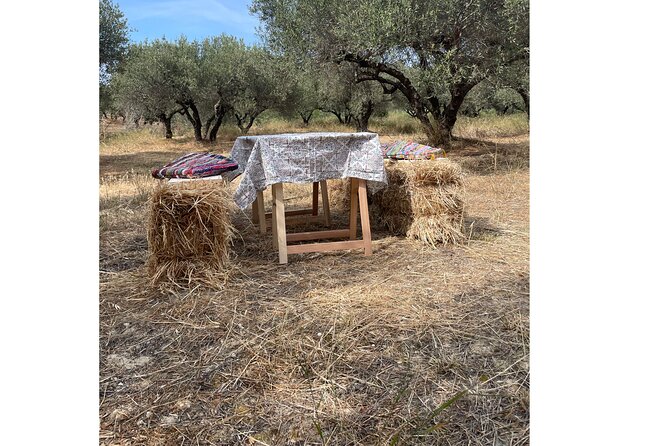 Heraklion:Olive & Dragon Fruit Farm Tour & Cretan Farmers Brunch - Dragon Fruit Farm Tour
