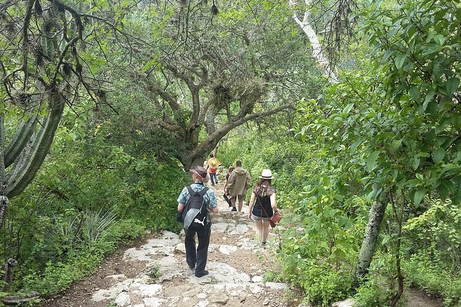 Hierve El Agua and Teotitlan Del Valle Tour From Oaxaca - Mezcal Tasting Experience