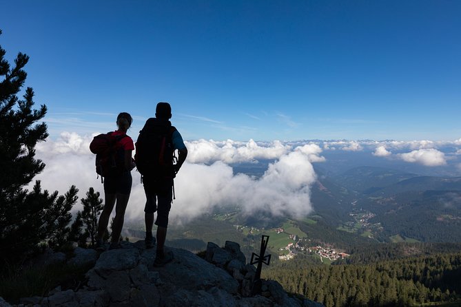 Hike the Dolomites: One Day Private Excursion From Bolzano - Guest Reviews and Testimonials