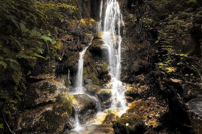 Hike the Valley of the Ferriere With Lunch at "Agriturismo Foreporta" - Enjoyable Experience