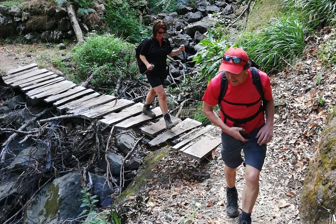 Hiking and Trekking Tours in Madeira - Traveler Reviews and Additional Information