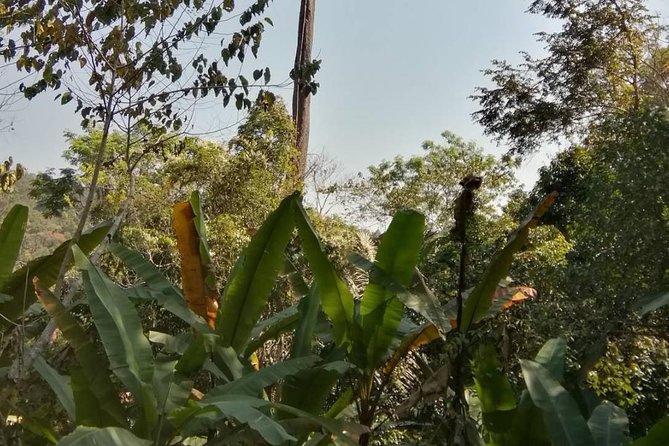 Hiking and Zipline Private Tour From Chiang With Karen Village - Customer Reviews