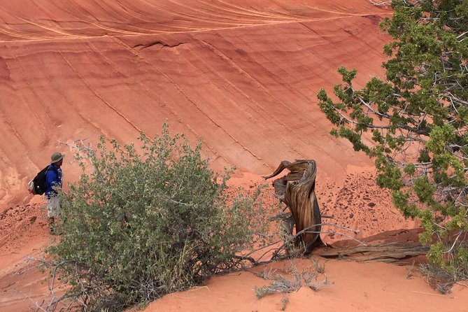 Hiking in Kanab: Famous Teepees of Vermilion Cliffs National Monument Near Wave - Reflecting on the Unforgettable Journey