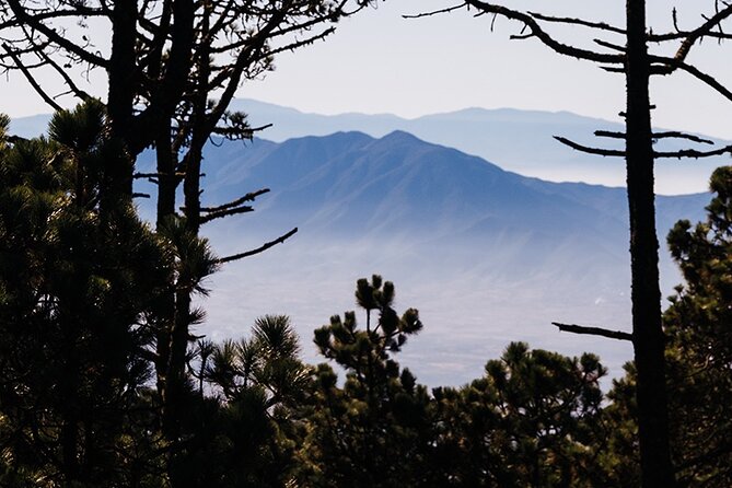 Hiking in the Enchanted Forest of Ixtepeji With Rescue Dogs - Frequently Asked Questions