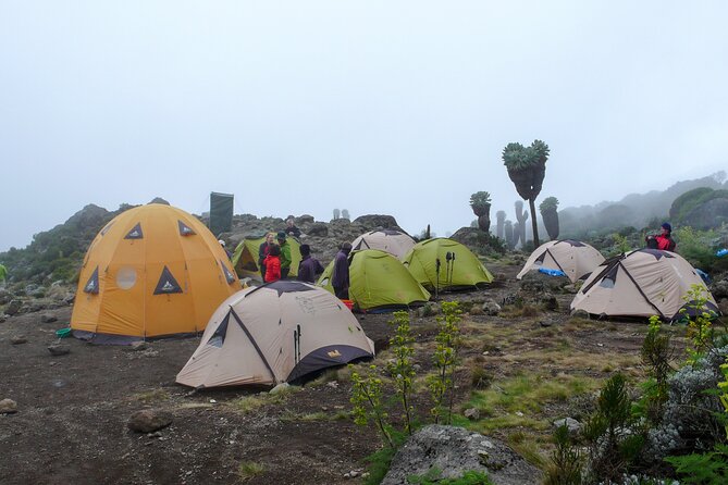 Hiking Mt Kilimanjaro 7 Days Scenic Route & Moderate Challenge - Traveler Requirements