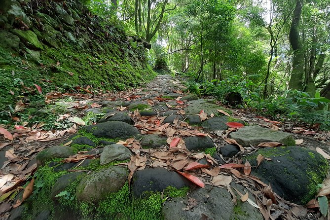 Hiking Tour Sanguinho Salto Do Prego Waterfall and Furnas - The Sum Up