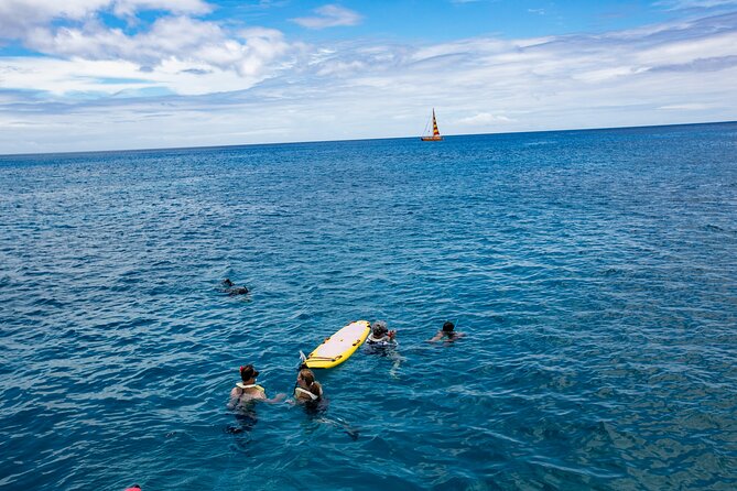 Hilton Hawaiian Village Turtle Snorkel With Optional Lunch - Frequently Asked Questions