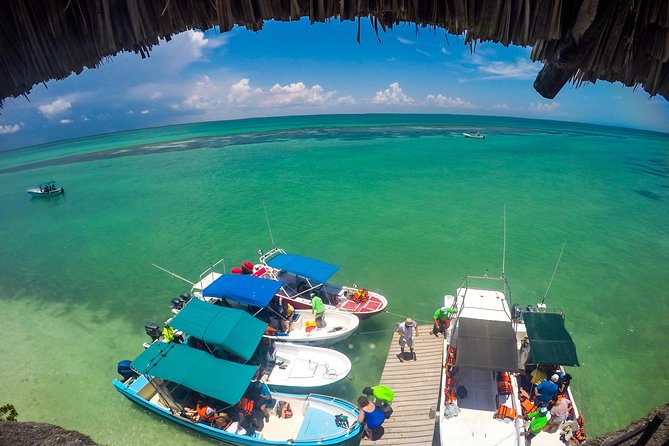 Holbox Island Tour Departure From Cancun - Frequently Asked Questions