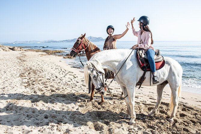 Horse Riding in Mallorca - Exploring Mallorca on Horseback
