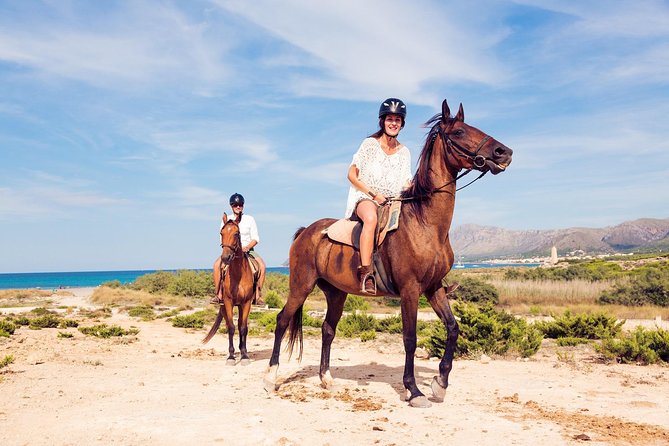 Horse Riding Morning Ride in Paros - Getting to the Meetup Point