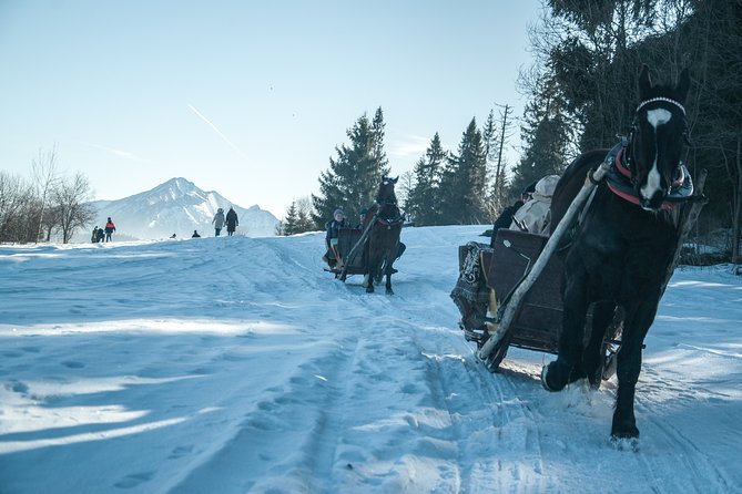 Horse Sleigh Ride in the Countyside and Thermal Pools in One Day, Private Tour - Relaxing in Thermal Pools