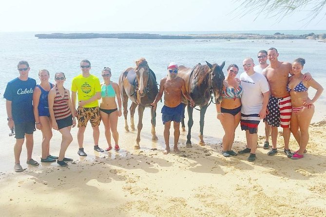 Horseback Ride and Swim From Ocho Rios - Viewing Marine Life