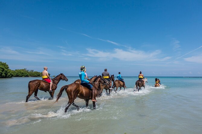 Horseback Ride, City Highlight Tour Ocho Rios(Entry Fee Included) - Additional Details