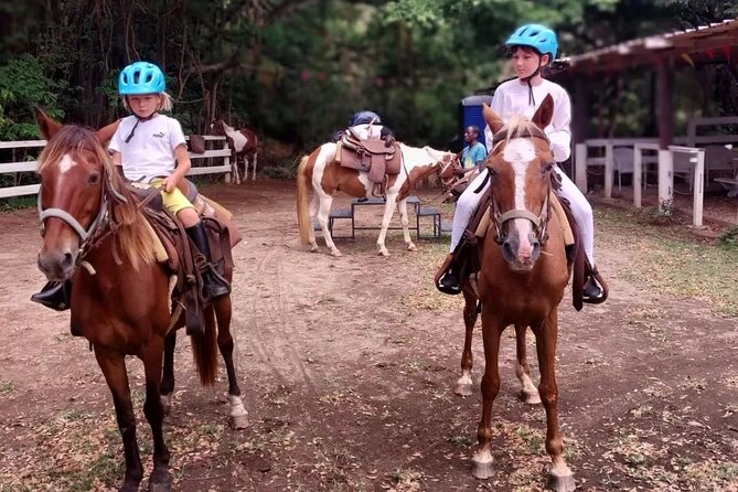 Horseback Riding, A Scenic Escape - Preparing for the Adventure